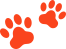 Pet Funeral Services in Chennai