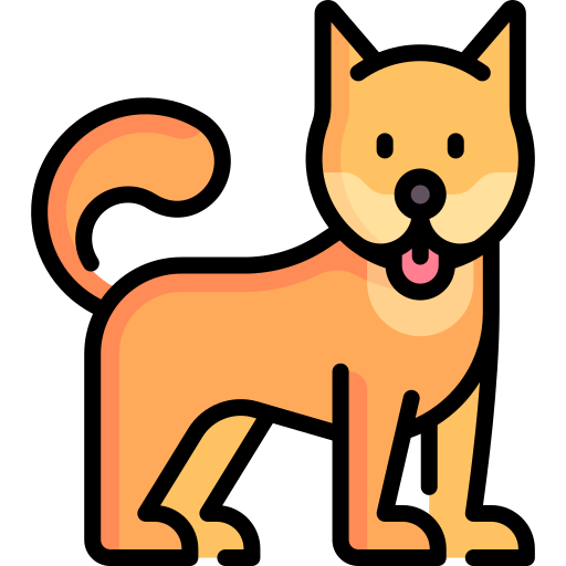 Pet Burial Service Chennai