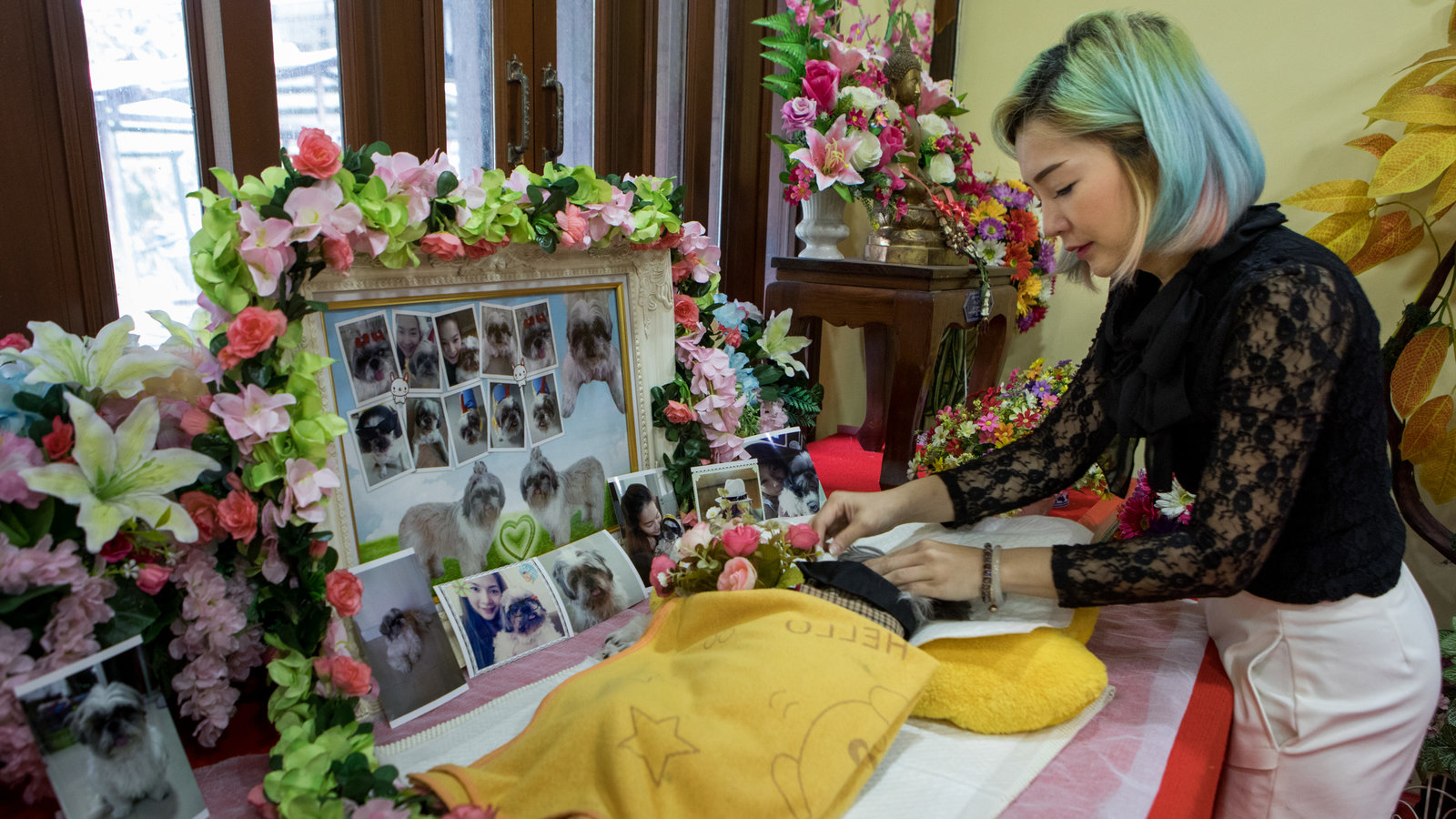 Home Pet Funeral Arrangements Chennai