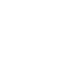 Pet Transportation Icon